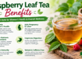 raspberry leaf tea benefits